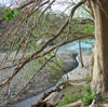 river bluff