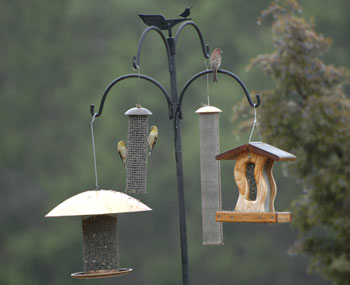 bird feeders