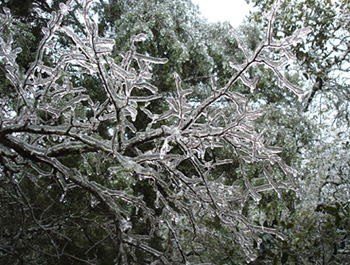 ice storm