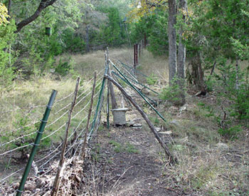 goat fence